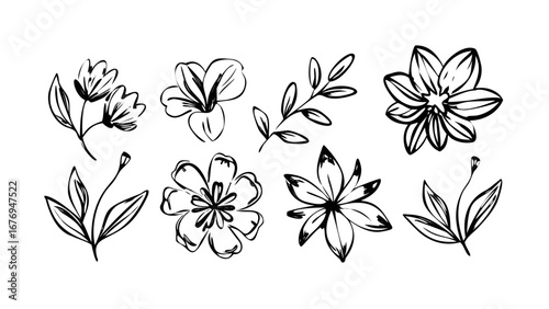 Hand Drawn Ink Floral Elements Collection flowers leaves