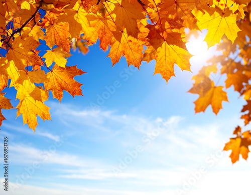 Autumn leaves against a bright sky