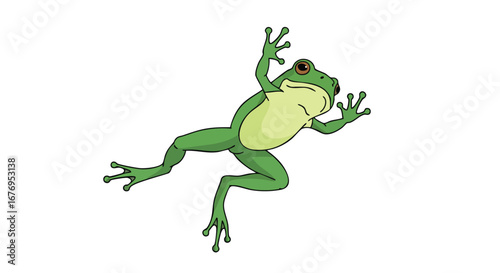 Cheerful amphibian leaping across a plain backdrop illustration of an adorable cartoon frog mid-jump showing its happy expression