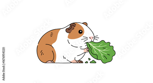 Charming guinea pig illustration savoring a leafy green vegetable snack against plain white background