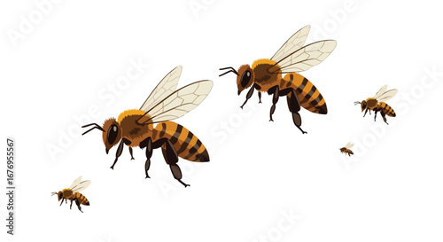 Honeybee swarm illustration featuring a group of bees in flight against a clean white backdrop creating a sense of nature and activity