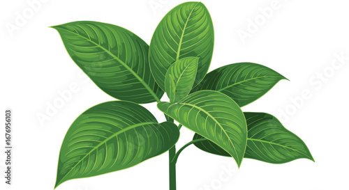 Lush green leaves bring a tropical vibe to your designs, perfect for nature themes and fresh, vibrant projects