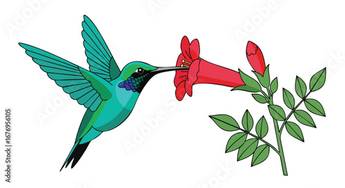 Illustration of a vibrant hummingbird drinking nectar from a bright trumpet flower in a garden setting representing the essence of nature and wildlife