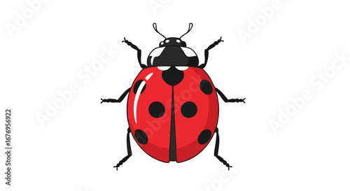 Vibrant illustration of a ladybug, symbolizing luck and nature's beauty. An eye-catching vector graphic with bold colors and clean lines that