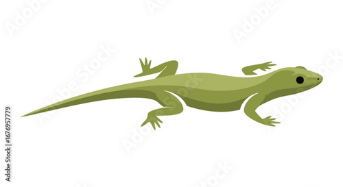 Stylized lizard illustration with a smooth skin texture and a pointed tail displayed on a clean white background