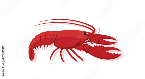 Crimson Crustacean: Animated lobster illustration on a white backdrop offers a marine graphic suitable for educational and culinary projects,