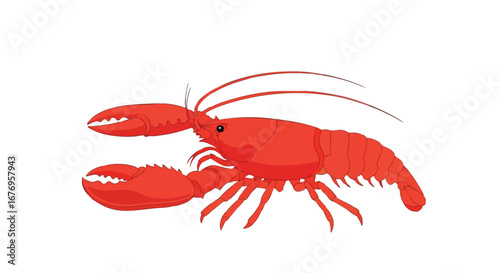 Vivid red lobster illustration isolated on pristine white canvas, showcasing intricate anatomical details and playful cartoon style