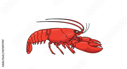 Cartoon lobster with bold black outlines on a white background in striking red color, showcasing its whimsical design and simple aesthetic