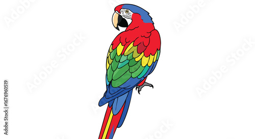 Vibrant scarlet macaw illustration showcasing intricate plumage details against a pristine backdrop showcasing its stunning features