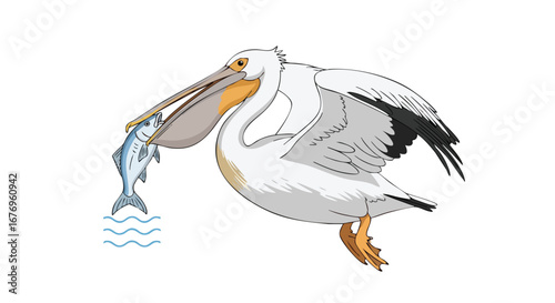 Pelican's Perch: A Bird's-Eye View of Coastal Catch and Culinary Conquest in Simple Illustration style