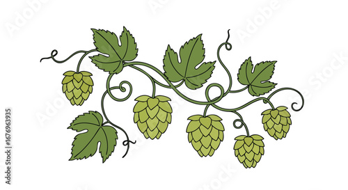 Detailed hop plant illustration displaying lush foliage and textured cones on a white isolated backdrop