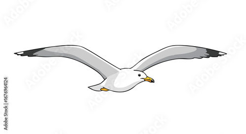 A Beautiful Vector Illustration of a Seagull in Flight with Graceful Wings and Elegant Posture in the Sky