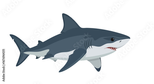 Streamlined shark illustration exhibiting simplified features on clean backdrop great for educational materials or graphic projects