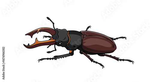 Detailed Illustration of a Stag Beetle with Prominent Mandibles and Segmented Legs on a Clean White Backdrop