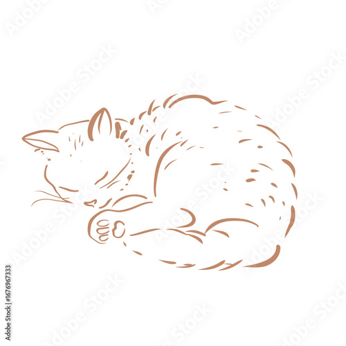 Minimalist Line Art Sleeping Cat Illustration