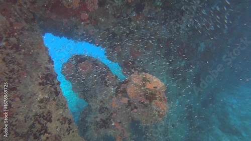 The propeller of a sunken ship. Diving on wrecks.