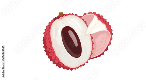Exotic Tropical Delight: A Cut Lychee Fruit Illustration with a Vibrant Peel and Translucent Pulp