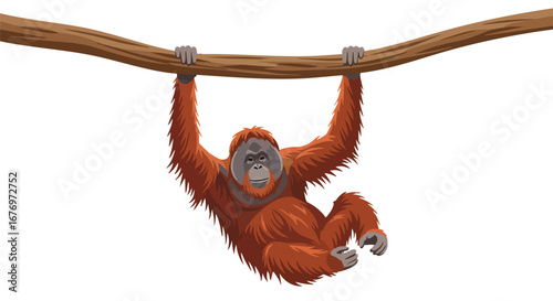 Orangutan enjoying a treetop swing, a vector illustration of wildlife in its natural habitat, depicting the charm and playfulness of these unique