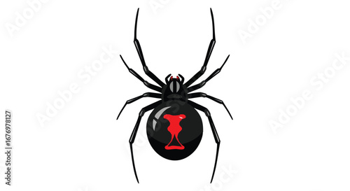 Striking Black Widow Spider Illustration with Red Hourglass Marking on White Background