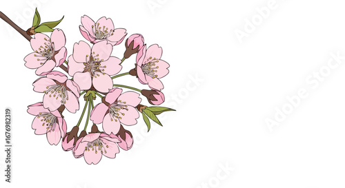 Delicate blossoms adorn a branch in this artistic rendition of floral elegance, exuding a sense of springtime charm against a clean white backdrop