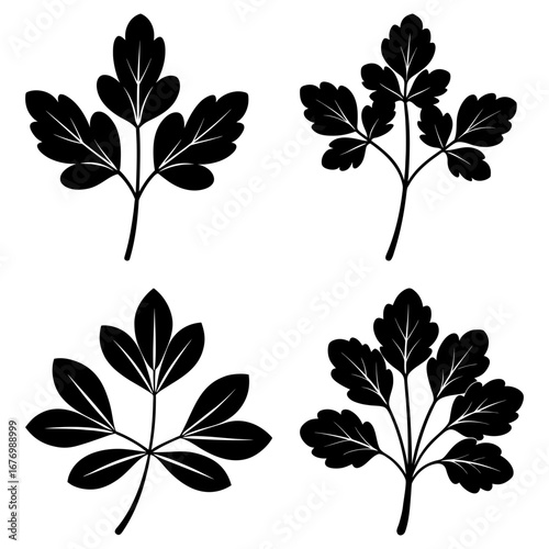 Four black leaf silhouettes with varying leaflet arrangements on a white background illustration design