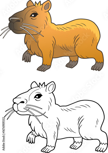 capybara coloring book for children