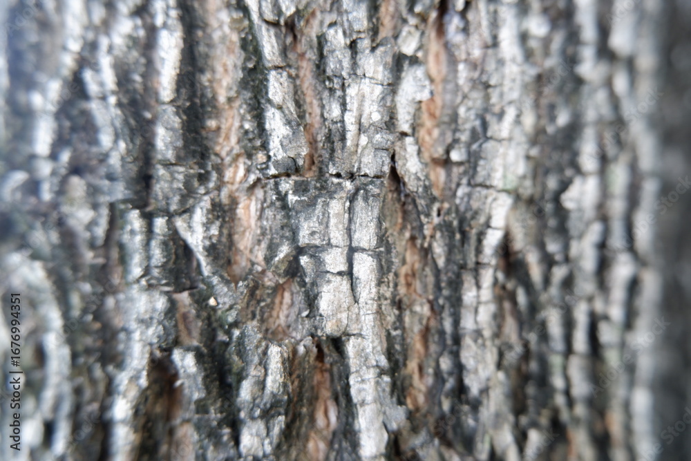 Fototapeta premium Rugged tree bark texture close up. Aged surface with intricate patterns, deep cracks, natural fissures. Organic details evoke nature enduring