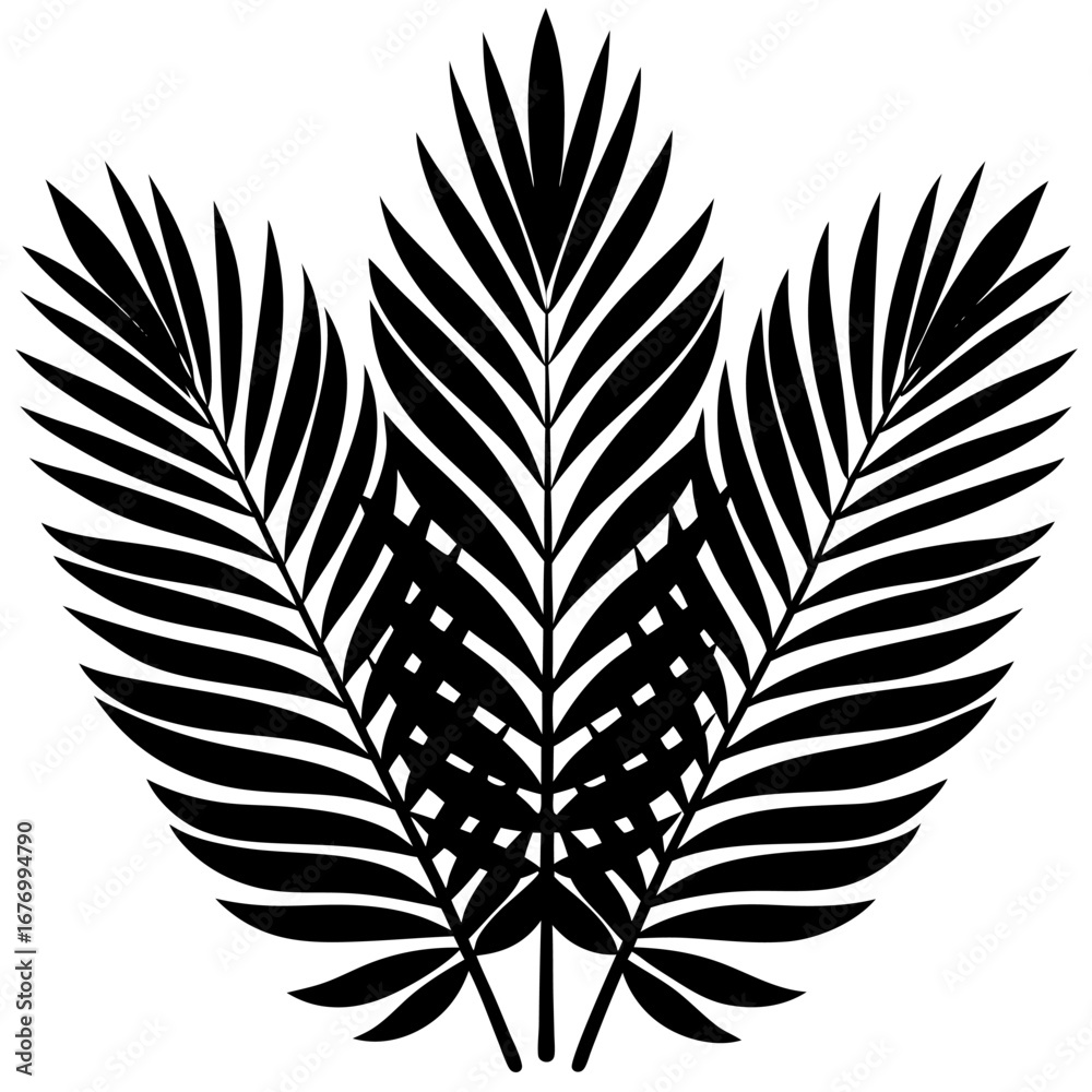 Obraz premium Three stylized palm fronds create a striking symmetrical silhouette graphic isolated on a white background for design.