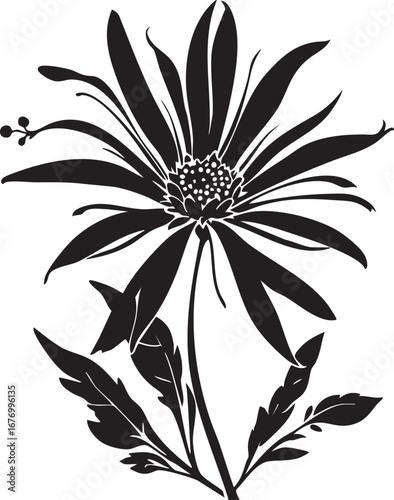 Stylized flower with elongated petals and leaves black and white silhouette illustration for nature botanical and decorative design