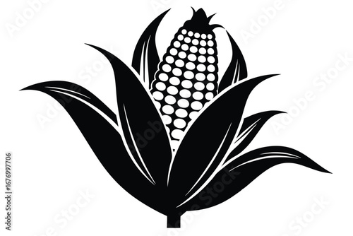 Black and White Graphic Illustration of an Ear of Corn with Leaves and Stem