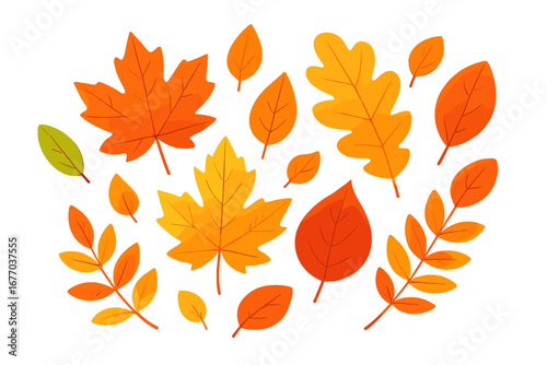 Set of colorful autumn leaves. Fall foliage vector illustration. Collection of various orange, yellow, red leaves like maple and oak. Seasonal nature design elements isolated.