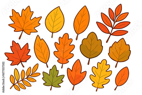 Colorful autumn leaves set. Vector cartoon illustration of fall foliage. Maple, oak tree leaves for seasonal decorative design. Isolated nature plant elements collection.