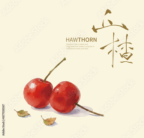 Hawthorn Berries with Chinese Calligraphy