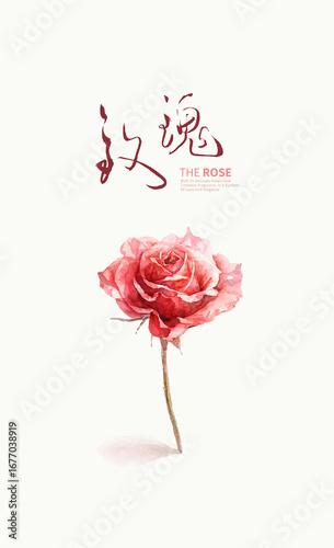Single Rose with Chinese Calligraphy
