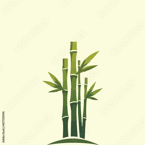 A simple arrangement of a lucky bamboo plant with leaves in a vase on a white background, perfect for a peaceful design