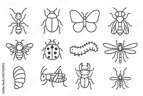 Insect icon set with simple line art collection. Vector bug illustrations outline. Ant, beetle, butterfly, bee, ladybug, caterpillar, fly, mosquito, stag beetle, grasshopper.