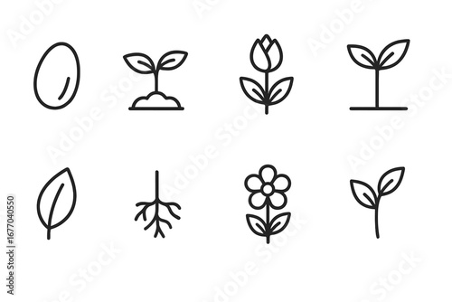 Plant growth icon set. Outline style nature and gardening symbols. Seed, seedling, sprout, bud, flower, leaf, root, stem stages. Botany, ecology, life cycle vector icons.
