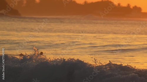 Male surfer sit on his surfboard in Indian Ocean at sunset time. Powerful wave crashing behind his body.Maldives