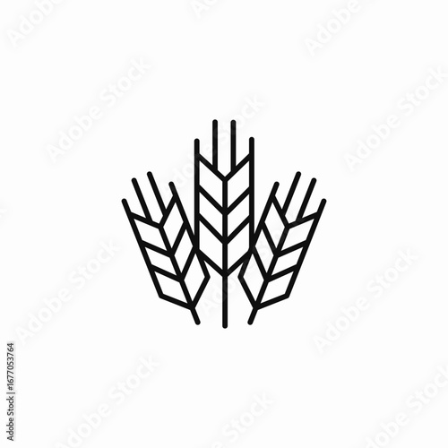three wheat stalks icon sign vector