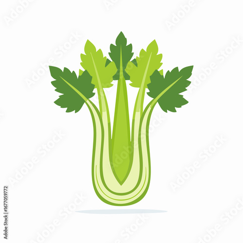 Fresh green celery bunch with leaves flat vector illustration icon