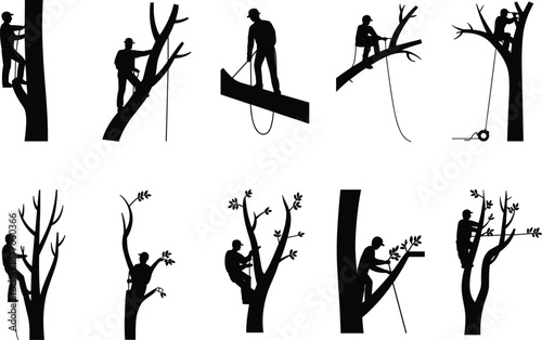 Arborist climbing trees, pruning branches, using saws, rope work, professional tree care, arborist’s craft, nature maintenance, environmental service