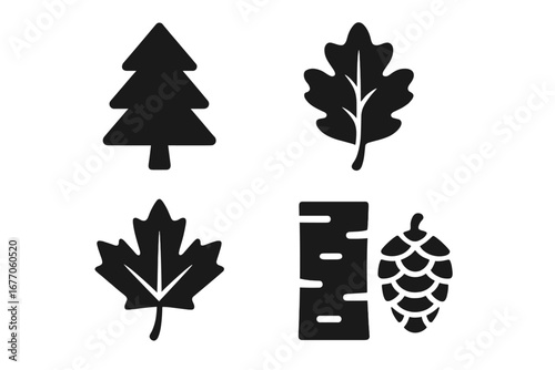 Tree species solid icon set for botany and identification. Black glyph symbols of pine, fir tree, oak leaf, maple leaf, birch bark, and cone. Vector for forest and nature.