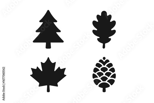 Tree species icon set for identification. Vector silhouettes of a pine tree, oak leaf, maple leaf, and fir cone. Forest and nature symbols for graphic design. Solid glyphs.