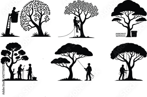 Arborist silhouettes, tree trimming services, professional tree care, black and white illustration, climbing arborists, pruning trees, rope access, outdoor maintenance