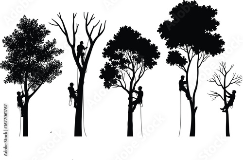 Silhouette of tree climbers, arborist rope access workers, tree maintenance scene, forest management, black and white climbing illustration, arboriculture art
