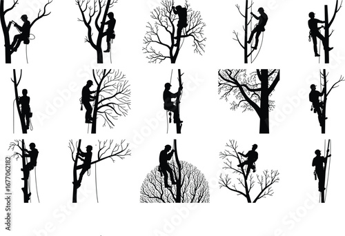 Silhouette Vector Set of Arborists Tree Climbing with Safety Gear, Working on Trees, Tree Cutting and Pruning, Professional Arboriculture