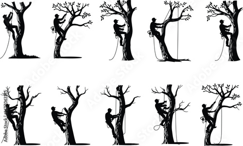 Tree climber silhouette vector, arborist working with ropes, professional tree care, pruning, climbing gear, forest maintenance, isolated design illustration