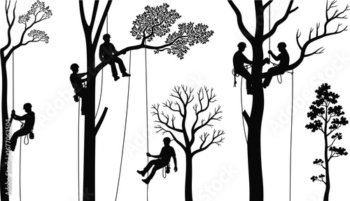 Tree climbers working in forest, arborist rope techniques, tree climbing safety, professional arboriculture training, workers with harness, forest canopy operation