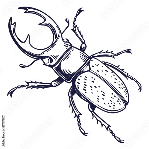 Minimilist illustration of a stag beetle with large mandibles and dotted elytra in black and white sketch style vector