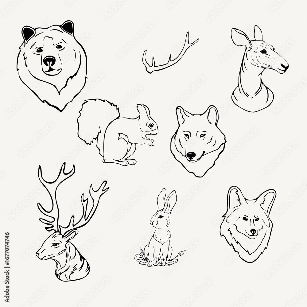 Obraz premium set of forest animals, wolf, doe, hare, fox, bear, horn, squirrel, deer